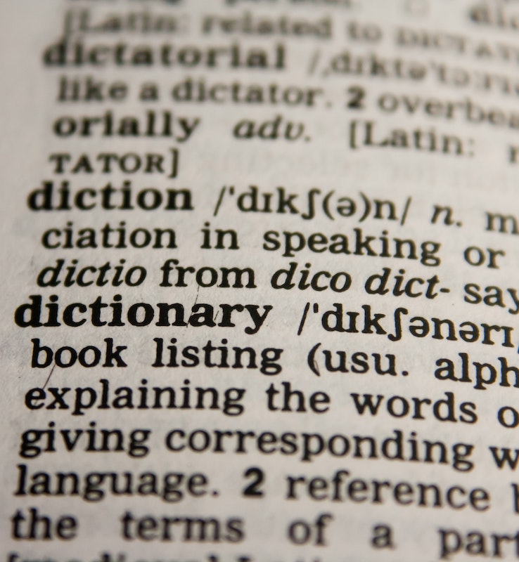 how to prepare a voice over script: close up of dictionary text