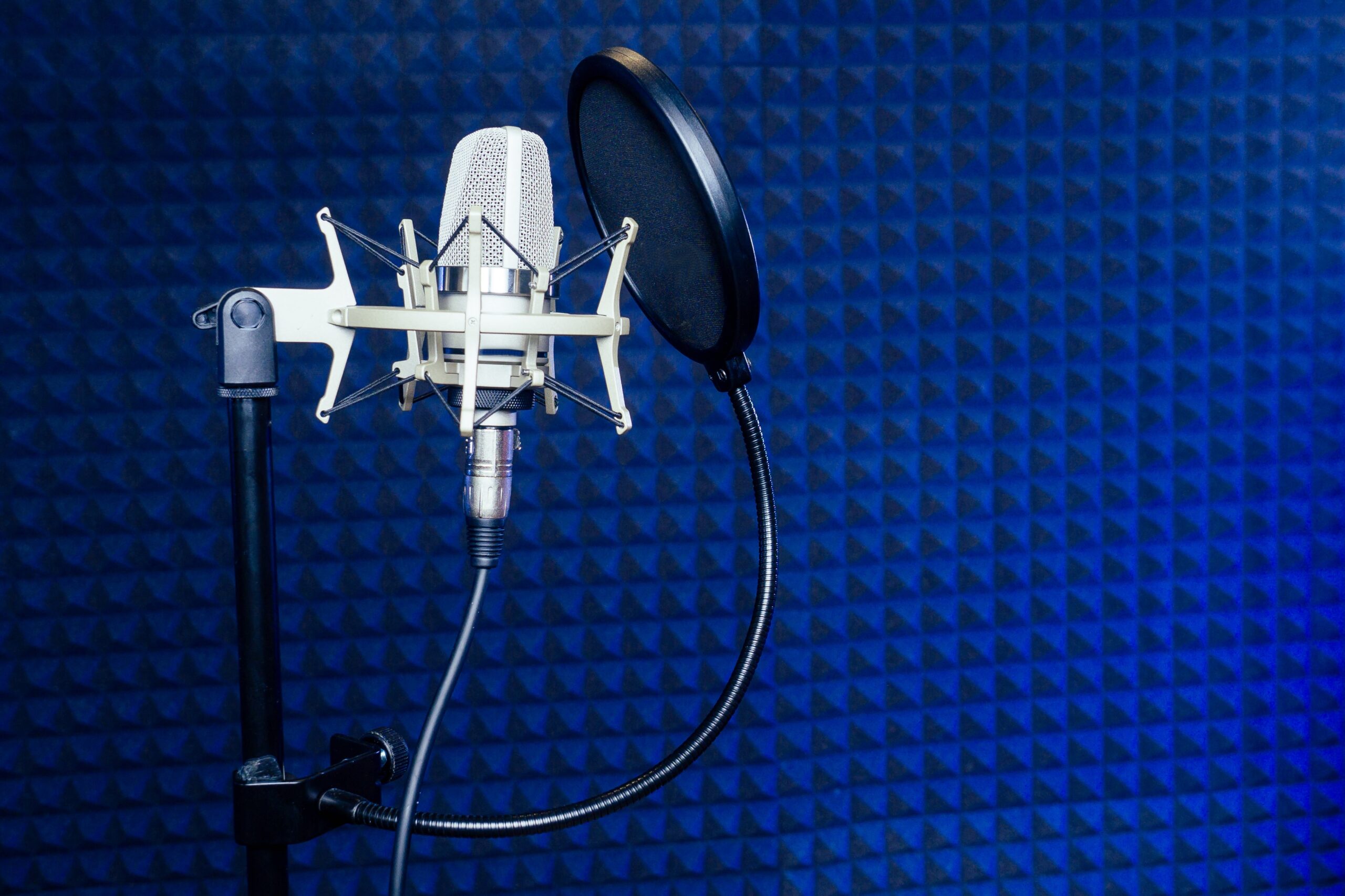 types of pop filters